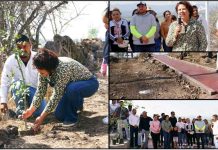 Dan Arranque a programa de Reforestación en Cerrito de la Cruz
