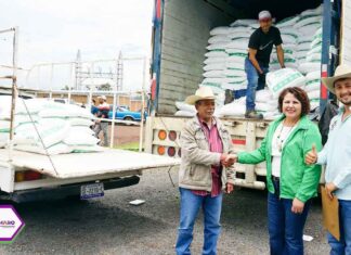 Apoyan a Campesinos con Fertilizante