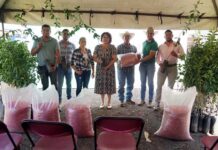 Benefician a Productores con Planta de Limón y Semilla de Garbanzo