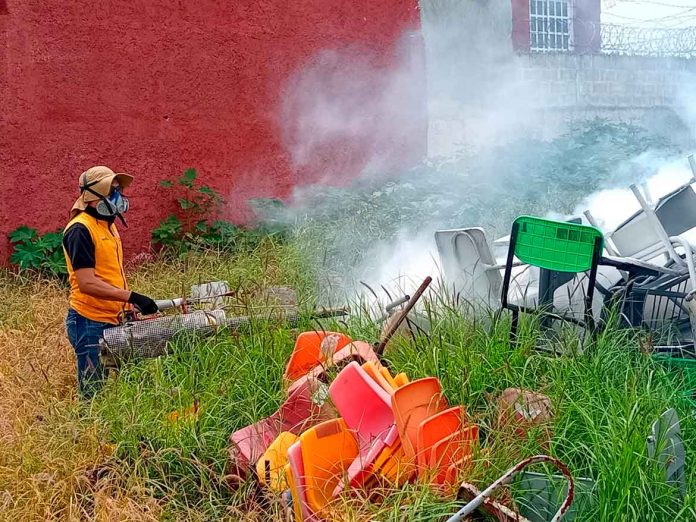 dengue-en-Salamanca dengue en Salamanca