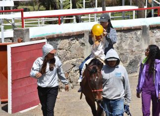 Área de rehabilitación de DIF Municipal, brinda sesiones de Equino terapia Área de rehabilitación de DIF Municipal