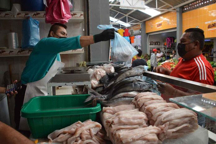 El Operativo Cuaresma 2025 procesa 315 muestras