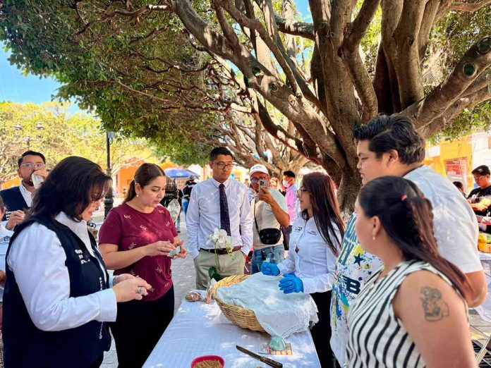 Estudiantes-de-la-UPP-presentan-60-proyectos Estudiantes de la UPP presentan 60 proyectos