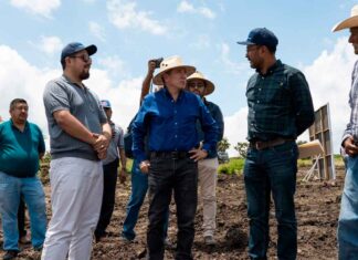 Impulsan el desarrollo del campo con el Programa Entorno Productivo 2025 (BORDERÍA)