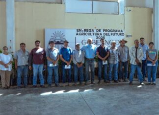 Impulsan el campo abasolense con la entrega de más de 6 mil de árboles de limón a través del programa “Agricultura del Futuro 2025”