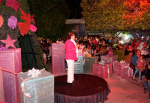 Inician Fiestas Decembrinas con el Encendido del Árbol Navideño en Huanímaro