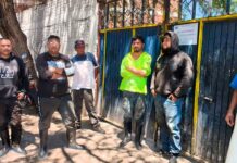 SSG suspende matadero particular en Pénjamo por riesgos sanitarios