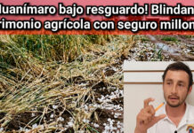 ¡Huanímaro bajo resguardo! Blindan el patrimonio agrícola con seguro millonario