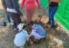 Realizan jornada de arborización en Preescolar de Boquillas