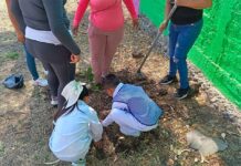 Realizan jornada de arborización en Preescolar de Boquillas