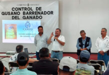 Refuerza Abasolo medidas contra el gusano barrenador; llaman a vigilar también a mascotas en el hogar