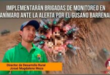 Implementarán brigadas de monitoreo en Huanímaro ante la alerta por el gusano barrenador