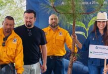 Siembran esperanza en Guanajuato: Inicia jornada masiva de reforestación en el Día Mundial del Árbol