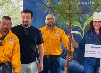 Siembran esperanza en Guanajuato: Inicia jornada masiva de reforestación en el Día Mundial del Árbol