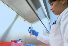 SSG mantiene vigilancia epidemiológica activa y refuerza medidas preventivas ante el gusano barrenador.