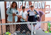 ADOPTA-TOON