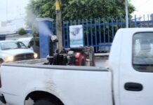 SSG registra disminución del 81 % en casos de dengue en relación con el año pasado.