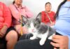 ÉXITO Y GRAN RESPUESTA CIUDADANA EN LA JORNADA DE ESTERILIZACIÓN ANIMAL EN LA CUARTA BRIGADA