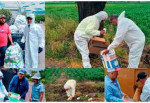 Jornada de recolección de envases de plaguicidas en Huanímaro.