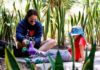 INVITAN A DISFRUTAR DEL PARQUE IREKUA DURANTE ESTAS VACACIONES DE VERANO