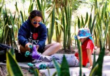 INVITAN A DISFRUTAR DEL PARQUE IREKUA DURANTE ESTAS VACACIONES DE VERANO