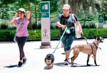 IRAPUATO IMPULSA SU TRANSFORMACIÓN URBANA Y AMBIENTAL CON PLAN MAESTRO DEL SISTEMA DE PARQUES