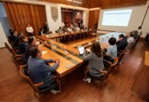 IRAPUATO FORTALECE ALIANZAS CON LA COMUNIDAD JAPONESA POR UNA CIUDAD MÁS VERDE Y SOSTENIBLE