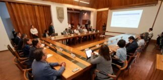 IRAPUATO FORTALECE ALIANZAS CON LA COMUNIDAD JAPONESA POR UNA CIUDAD MÁS VERDE Y SOSTENIBLE