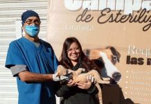 REALIZAN 13 ESTERILIZACIONES GRATUITAS EN LA COLONIA GUADALUPE
