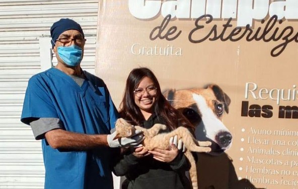 REALIZAN 13 ESTERILIZACIONES